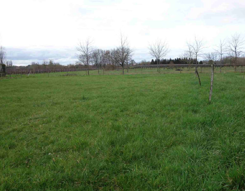 terrain  CAMPUGNAN