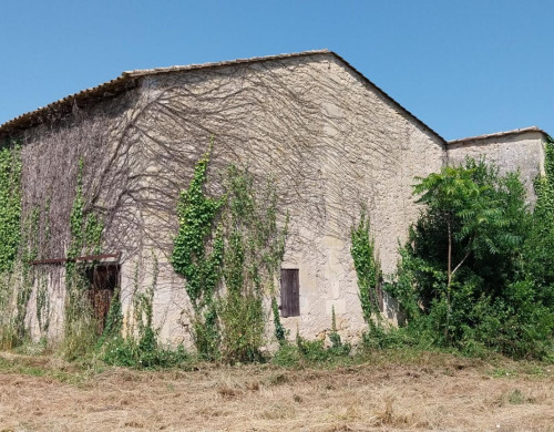 maison  ST PEY DE CASTETS