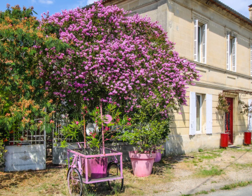 maison  ST ANDRE DE CUBZAC