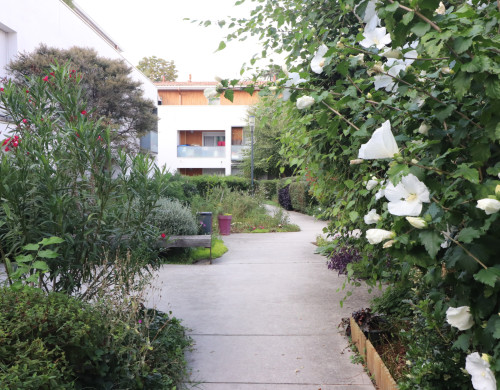appartement  VILLENAVE D ORNON