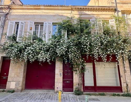 appartement  BORDEAUX