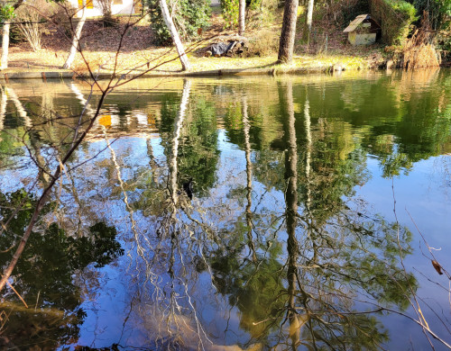 maison  LA TESTE DE BUCH